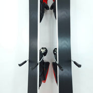 Schiuri sh Rossignol Hero Elite ST Ti, 172 cm