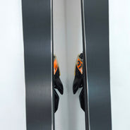 Schiuri sh Rossignol Forza 40, 164 cm
